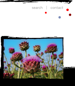 Flower image